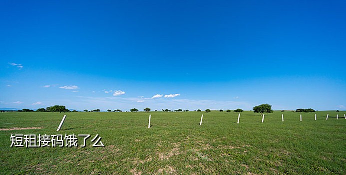 短信接码验证平台贴吧