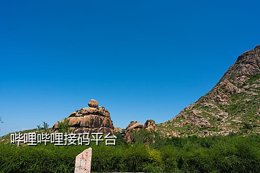 短信接码什么用