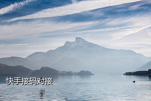短信接码平台哪个好用点
