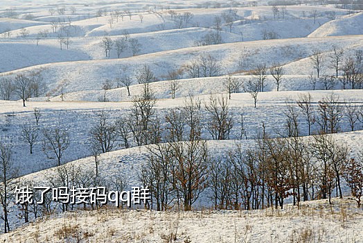 短信接码拼多多