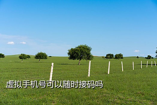 短信接码工具怎么使用方法