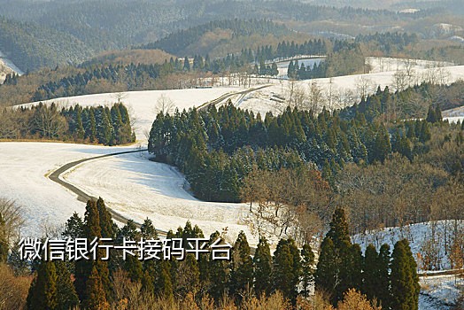 短信接码都能做什么