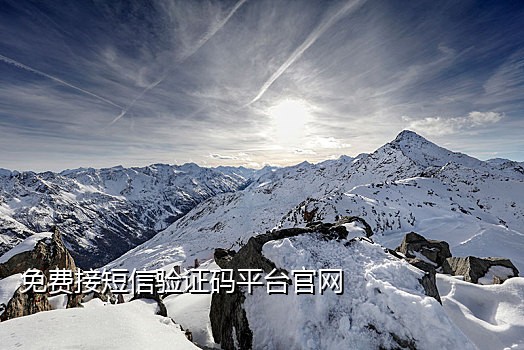 短信接码app哪个靠谱