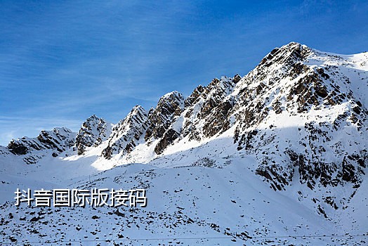 抖音怎么接码实名认证信息