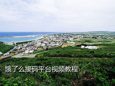 抖音接码是什么意思