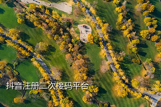 抖音接码犯法吗