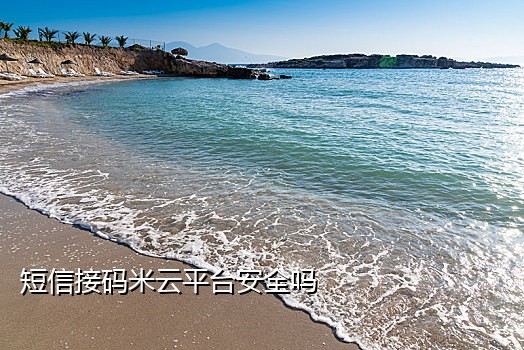 神话接码平台手机