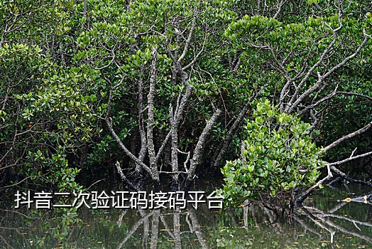 抖音白号什么意思首次接码