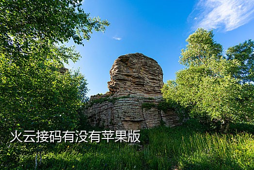 抖码接码短信平台2022