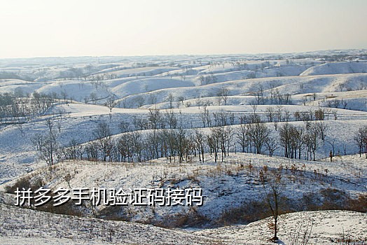 德芙云手机短信接码