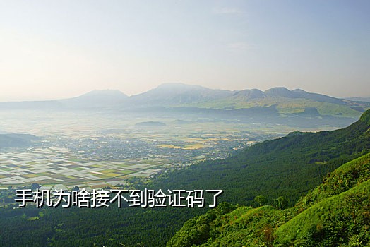 菜鸟接码手机端