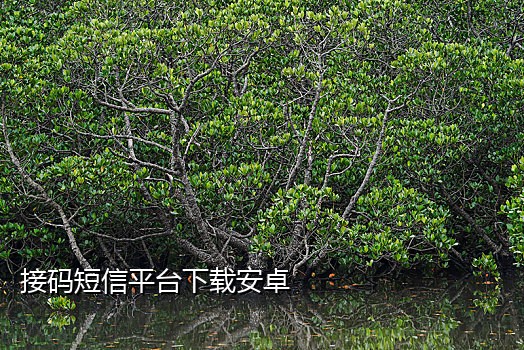 什么接码平台能接微信绑定