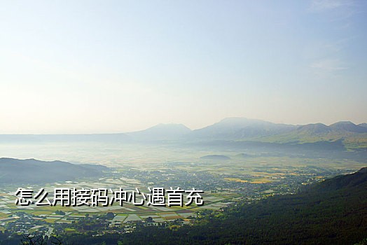 谁有接的手机码