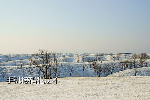 如何识别手机号接码