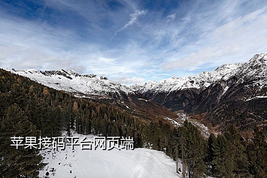 注册微信澳门卡接码卡商