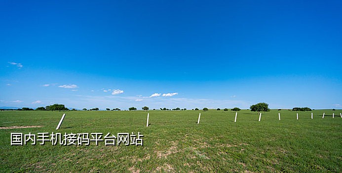 全网接码平台美团