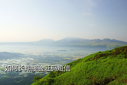 在线接码注册微信