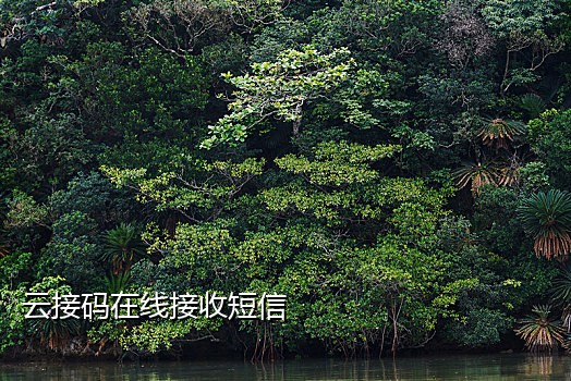 在线接码平台google