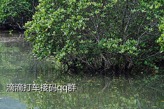云接码免费接收短信是真的吗