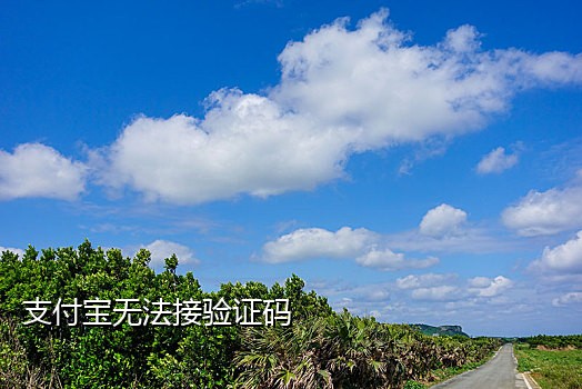 云接码短信平台收费吗