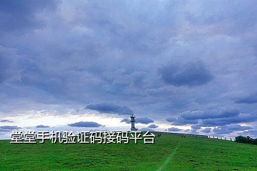 云短信接码apo