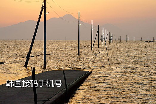 有没有只接验证码的手机号