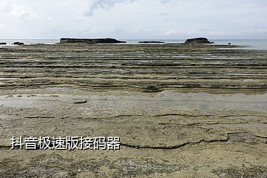 易码短信接验证码平台
