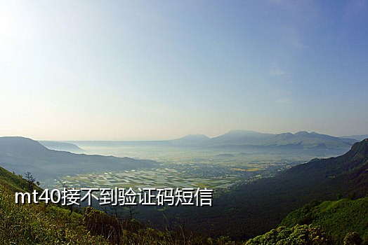 七年接码短信收费