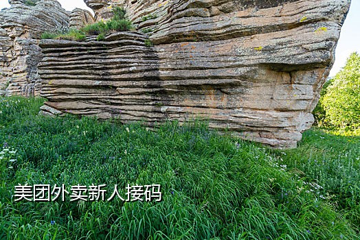 小红书虚拟号接码网站