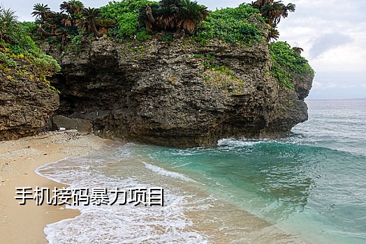 稳定接短信验证码平台