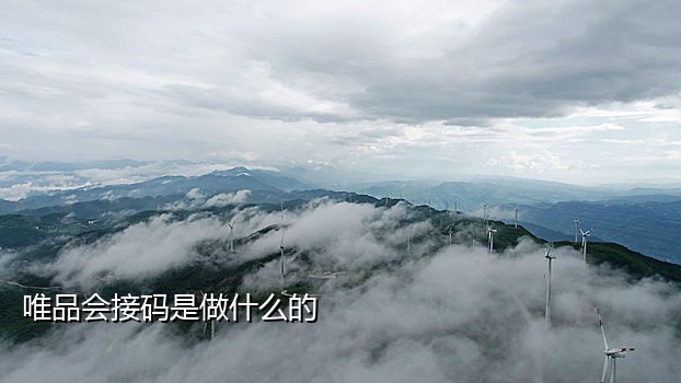 微信注册的接码平台吗