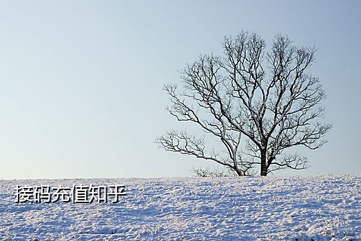 微信验证码一个接一个