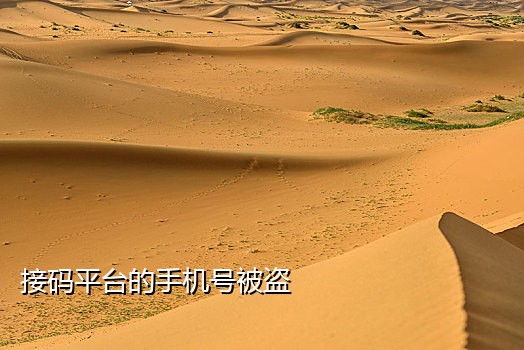 微信群接码工作室被抓