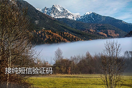 微博验证手机接码平台