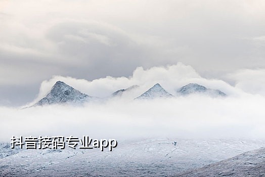 苹果接码网站是什么