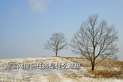 淘宝特价版接三码撒意思