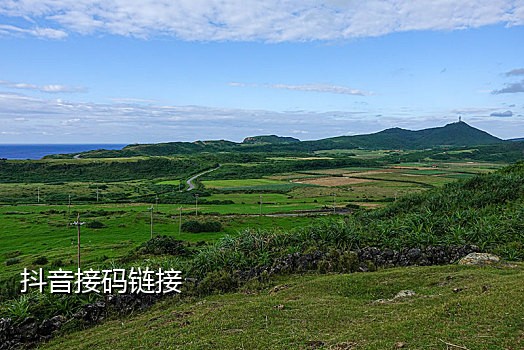 淘宝拉新接几个验证码