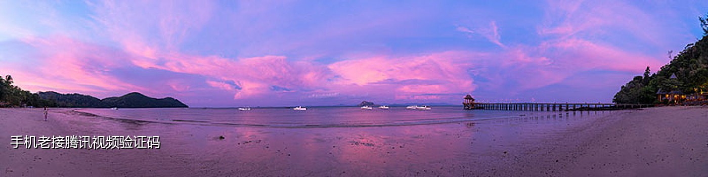 探探注册接码美国号段