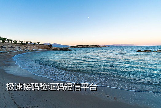 输入手机号免费接码