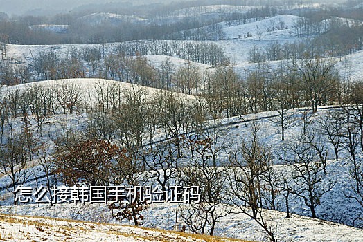 手机怎样无线接码