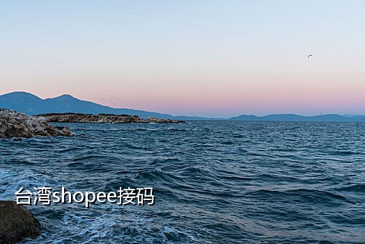 手机怎么接码换ip