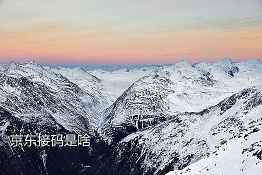 手机接码验证平台