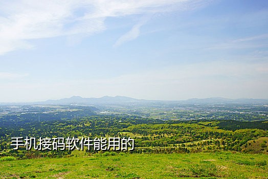 手机接码项目是什么