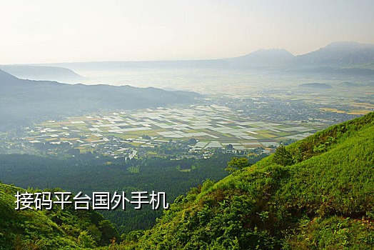 手机接码平台有什么用处吗知乎