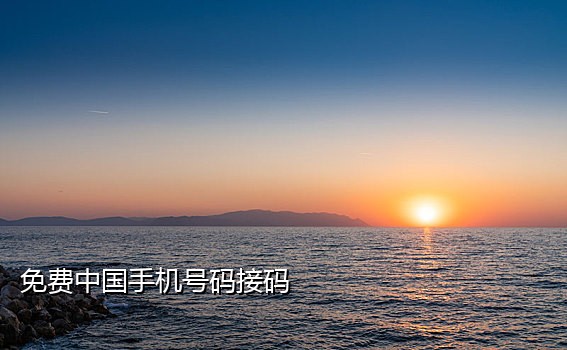 平板怎么接验证码游戏手机