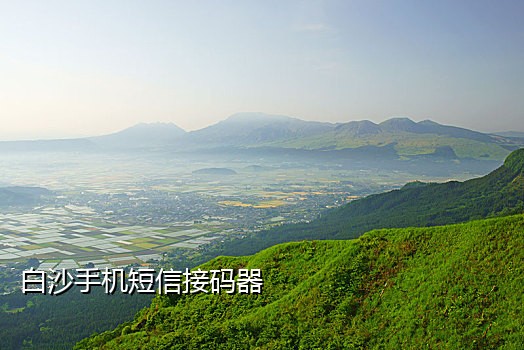 手机接码官方