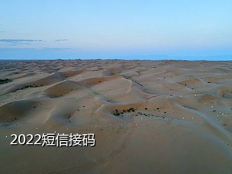 拼多多接引码