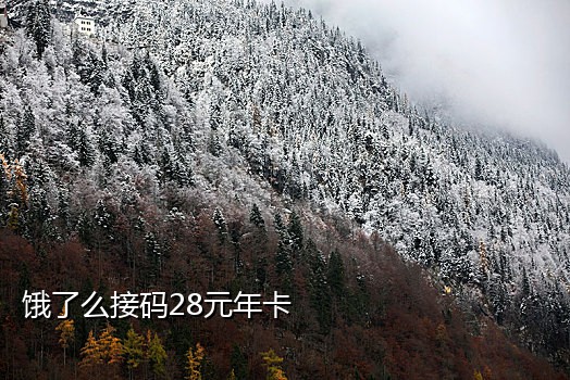 手机号停机接码