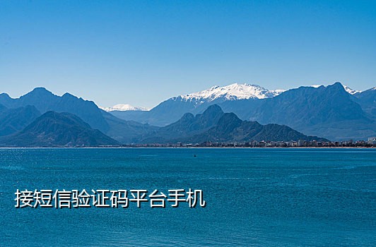 拼多多接码软件哪个好用