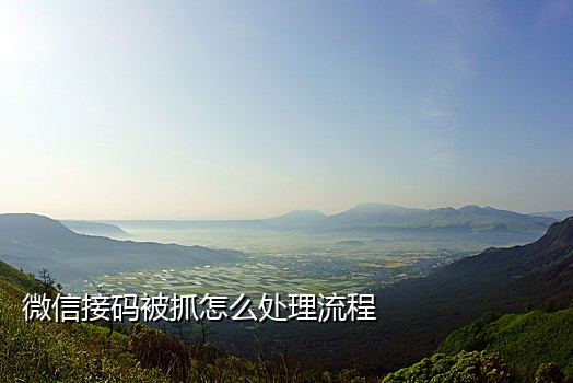 苹果手机接码平台吗